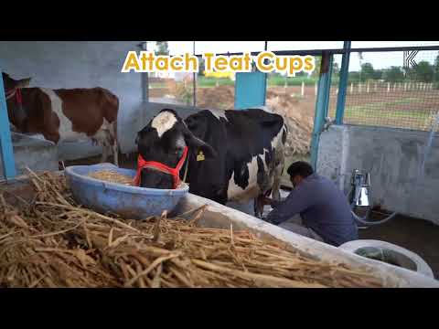 Krishna Four Bucket Milking Machine