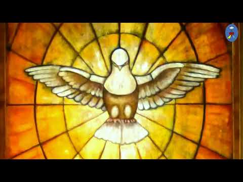 Pustelnia 31.05.2020 - Kazanie II