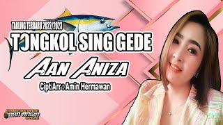 Download lagu TARLING TERBARU 2022-2023 | TONGKOL SING GEDE - AAN ANIZA | CIPT. AMIN HERMAWAN (AUDIO FULL HQ) mp3