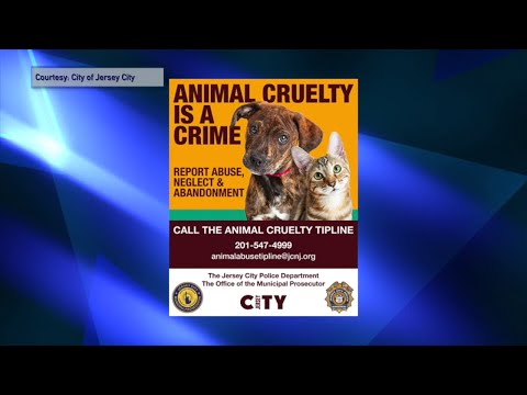 NJ Jersey City Launches New Animal Cruelty Tip Hotline