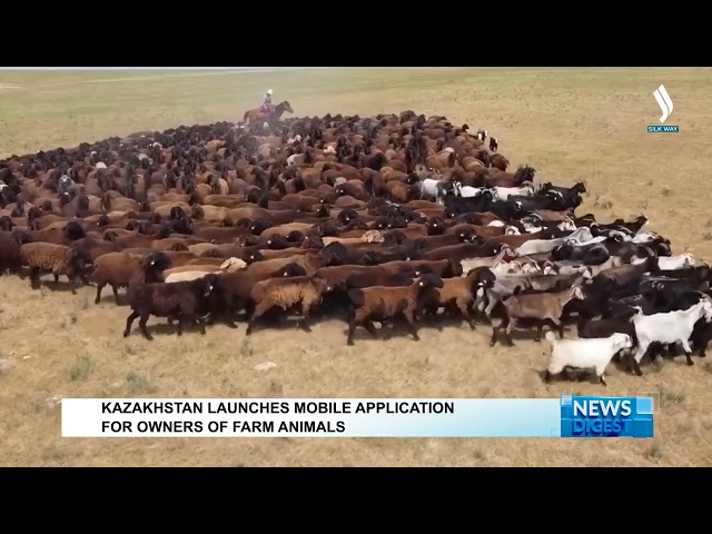 Kazakhstan launches mobile application for owners of farm animals