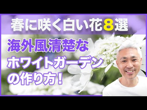 白い花の咲く植物：春に庭に植える4つの多年草  庭園