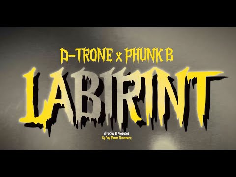 D-TRONE x @phunkb - LABIRINT (visualizer)