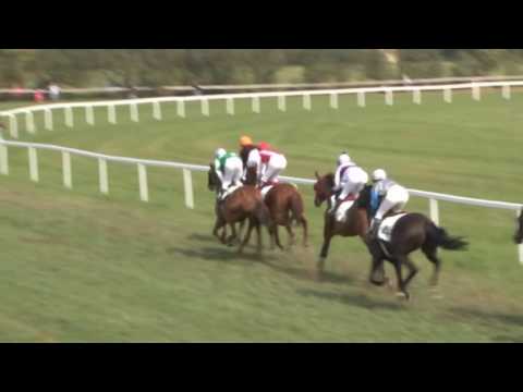 MI, 3. 9. 2016, 5. dostih - Cena hejtmana Libereckého kraje