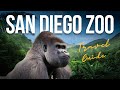 San Diego Zoo FULL TOUR The 10 Best Things To Do 4k