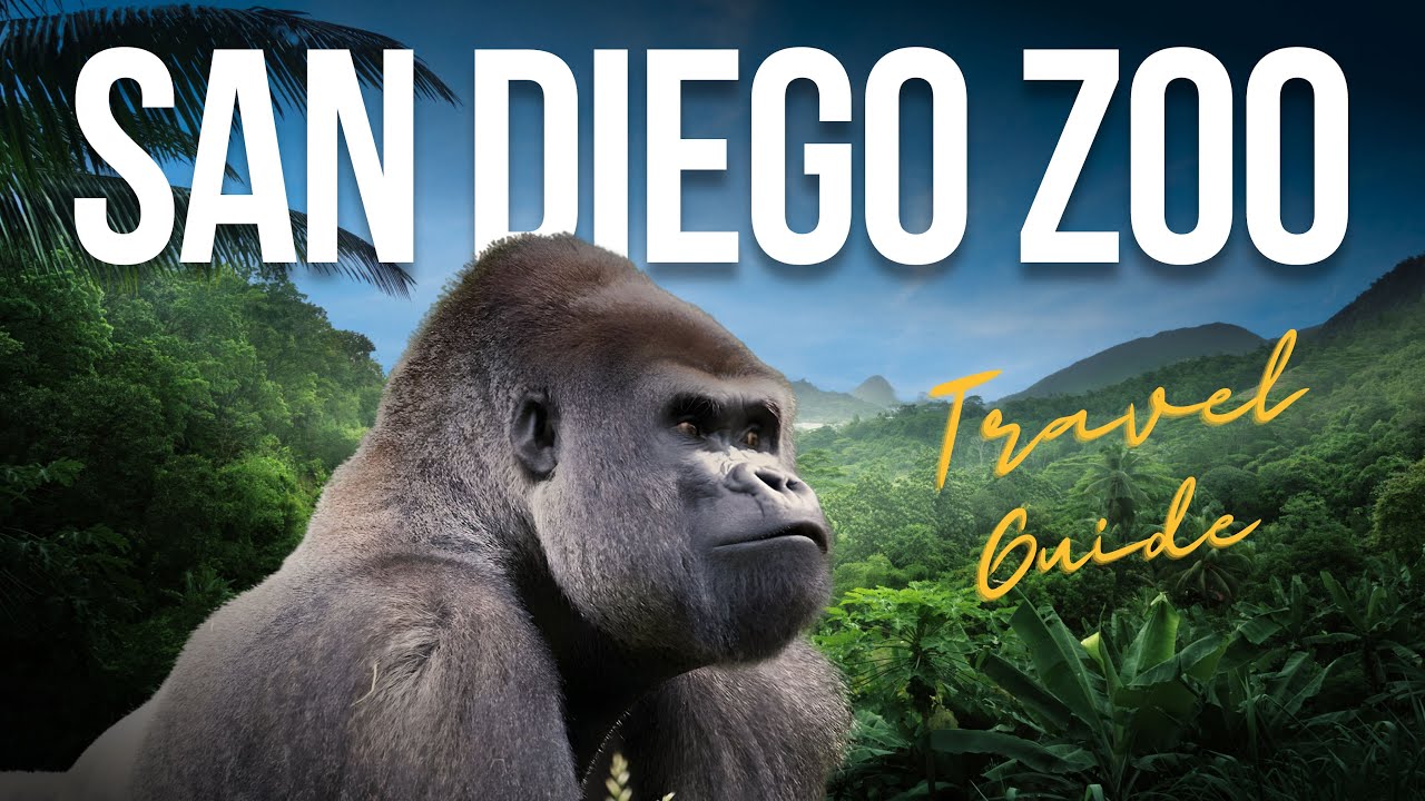 Visit the San Diego Zoo