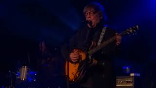 Flamin' Groovies - What the Hells Going On - Altaveu Frontera 2017