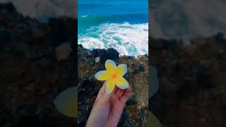 Download lagu Sesuatu di Jogja - #explorejogja #dolanjogja #jogjaindah mp3