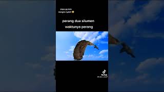 Download lagu parodi misteri illahi mp3