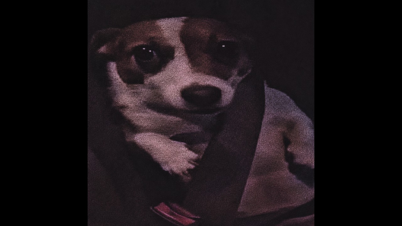 ㅤㅤㅤㅤ