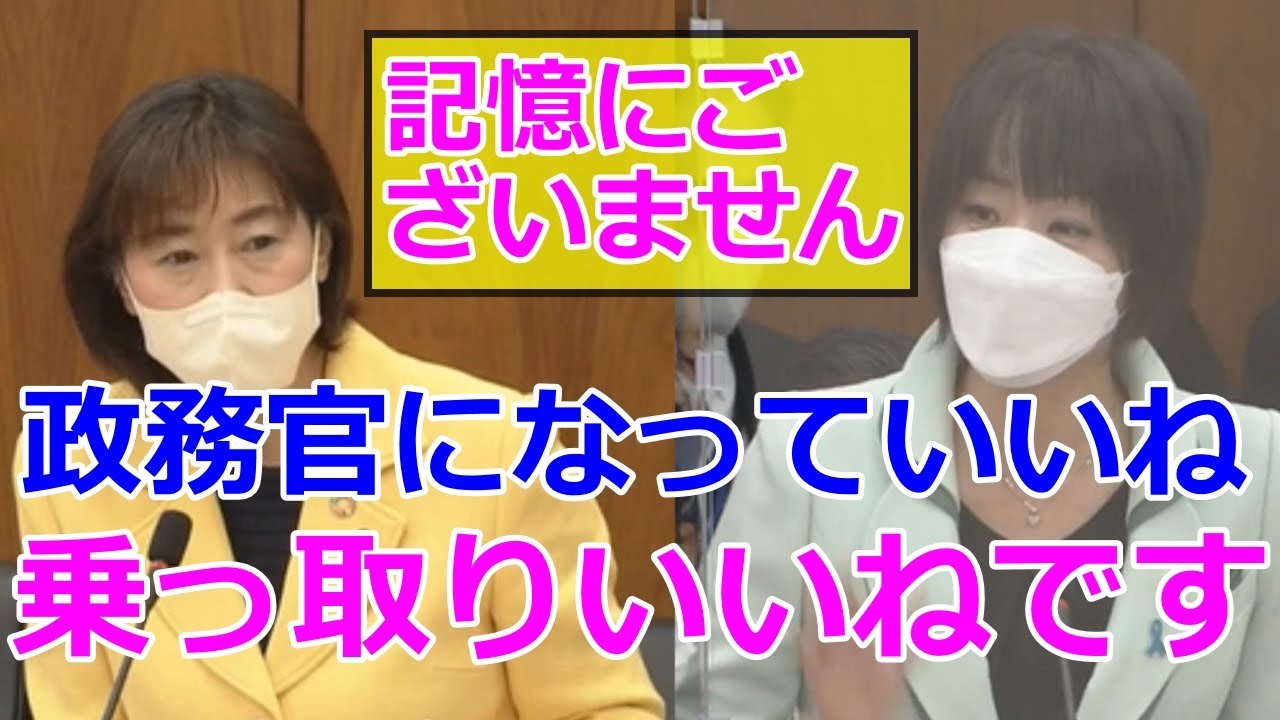 杉田水脈vs岡本章子でまた社民党の福島瑞穂を名指し問題投稿にいいねで爆笑の面白国会