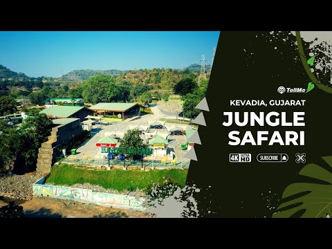 Jungle Safari Experience, A Wildlife Adventure | Kevadia, Gujarat