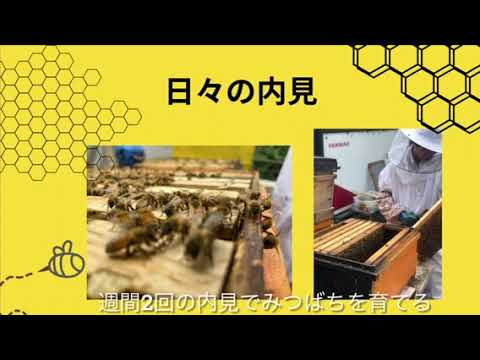商学科 聖学院中学校高等学校