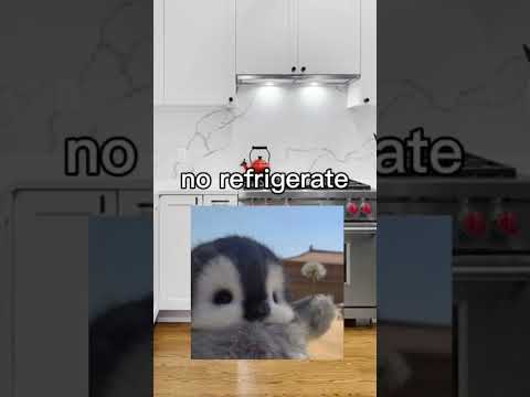 Welcome to my kitchen #funny #meme #capcuttemplate #funnysong