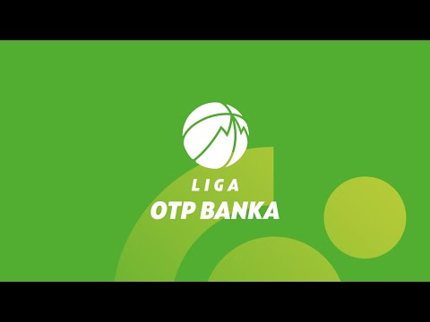 Kansai Helios Domžale : Rogaška - 1. del - 16. kolo - Liga OTP banka - Sezona 25/26