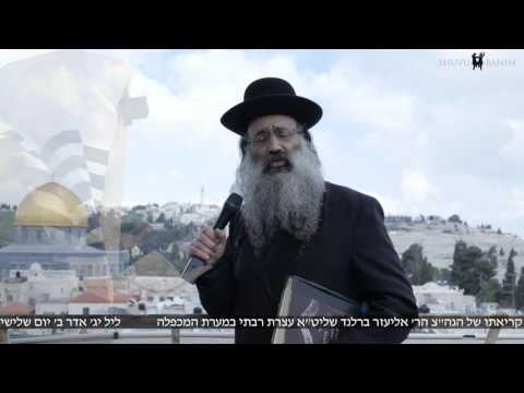 צפו: מסר משובו בנים בעיר העתיקה לקראת העצרת הרבתי בחברון מערת המכפלה לאור קריאתו של הגה"צ הר' אליעזר ברלנד שליט"א