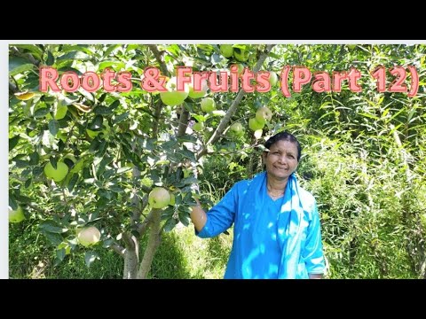 #roots#fruits#(part12) 22nd August 2021|| Message by Dr. Latha Paul
