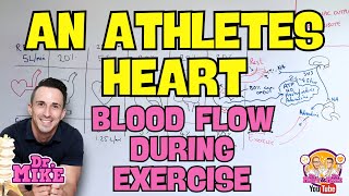 An Athletes Heart | Blood Flow During Exercise