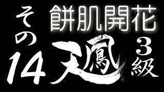 【餅肌開花】オンライン対戦麻雀 天鳳 実況プレイ その14【3級】