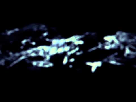 Trailer ARS ELECTRONICA Animation Festival 2014