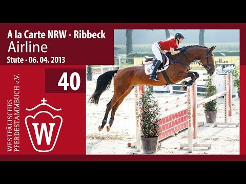 40 Airline Stute v. A la Carte NRW - Ribbeck