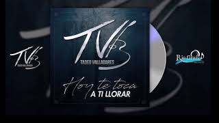 Hoy te toca a ti llorar - Tadeo Valladares
