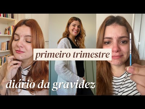 PRIMEIRO TRIMESTRE DA GRAVIDEZ - Diário da Gravidez