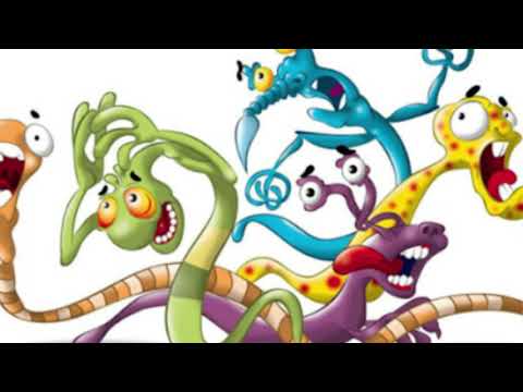 Diseases caused by microorganisms and worms