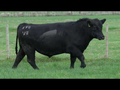 Lot 25  SEVEN HILLS V90 PV