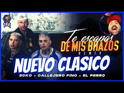 REACCION A ECKO, Callejero Fino, El Perro - Te Escapas De Mis Brazos (Remix) (Video Oficial)
