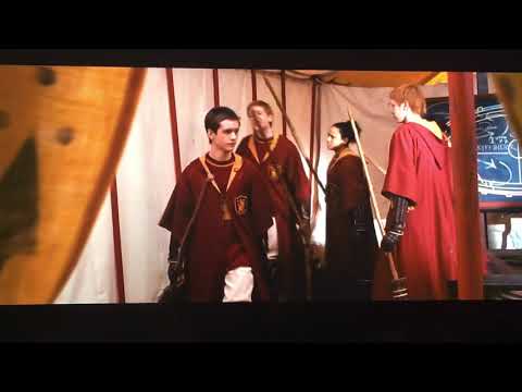 Harry Potter and The Chamber of Secrets | Hermione petrified