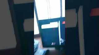 まめとかっつーの遊びよる時の会話 普段の様子