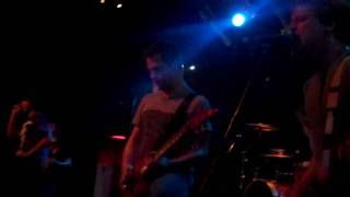 This or the apocalypse - Lamnidae