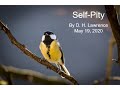 Self Pity by D. H. Lawrence