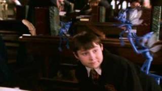 15 Cornish Pixies - Harry Potter and the Chamber of Secrets Soundtrack John Williams