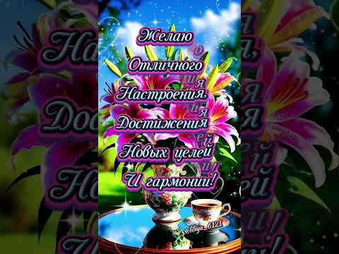 С добрым утром четверга 🌞 🌼 🌞 🌼 🌞  #доброеутро #сдобрымутром #хорошегодня #открытка