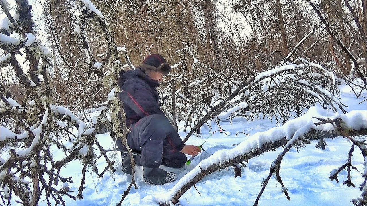 Ручей по колено а рыбы полно! В тайге ищем крупняк! Невероятно!