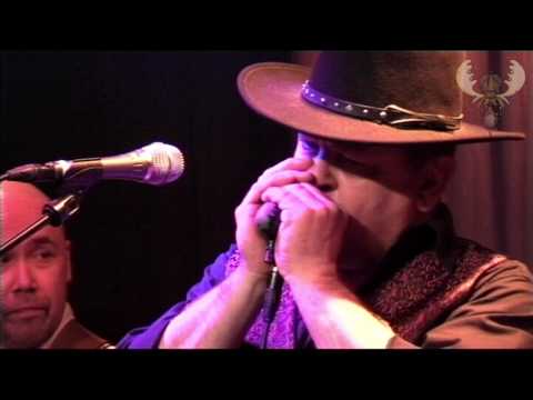 Ramblin' Dog - Leavin' Blues - live for Bluesmoose Radio