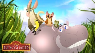 Hippo Lanes | Music Video | The Lion Guard | Disney Junior