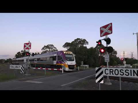 (Crossing Timeout Malfunction!) Two evening Albury Vlocity's at Ewings Rd Avenel!