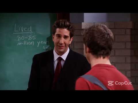 FRIENDS; a student is in love with ross