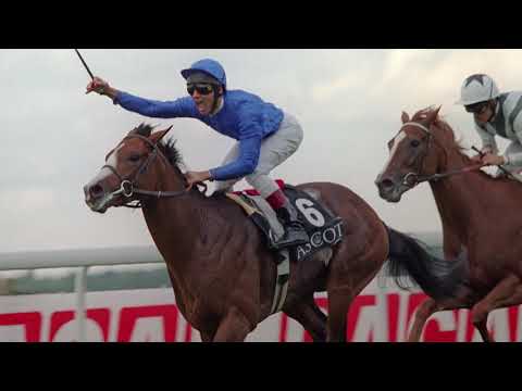 Frankie Dettori's Magnificent Seven | All Races
