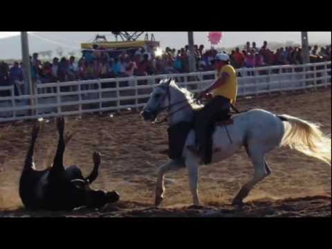 A Saga de um Vaqueiro - A História de um Grande Amor  xvid