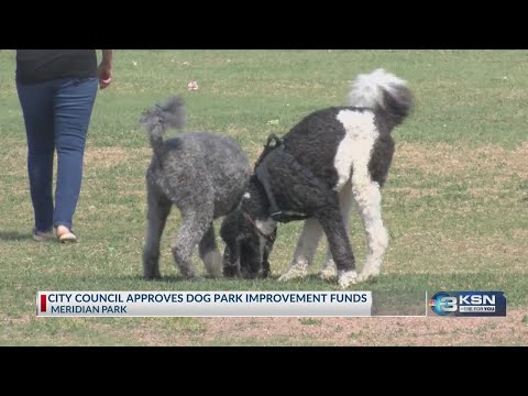 ウィチタは人気のドッグパークを改善、他のドッグパークは待たなければならない