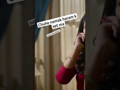 namak haram episode 24 | Chuhe #humtv #viral #drama