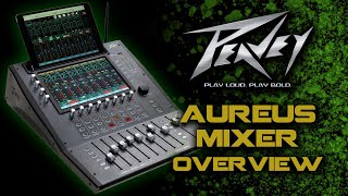 Video thumbnail for New Peavey Aureus 28 Unboxing And Overview! by Widowmaker Studios