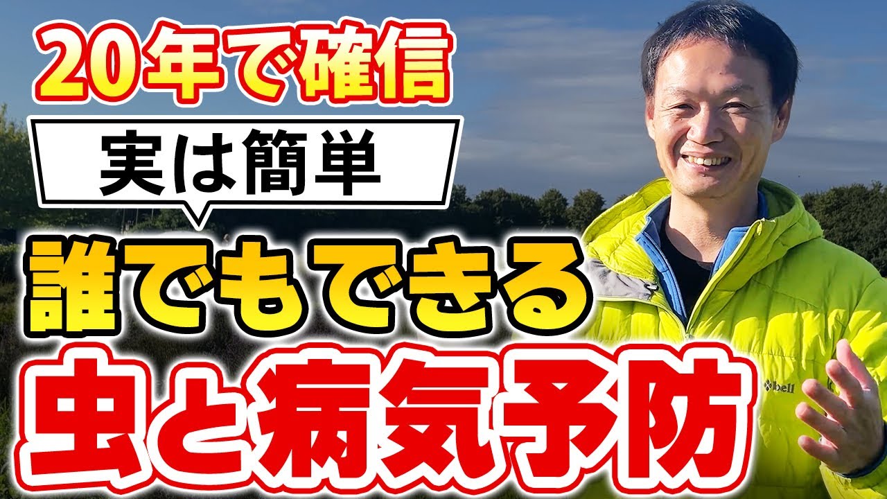 虫や病気は味方！受け入れ感謝する自然栽培