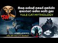 සීතල කාලෙට විතරක් එලියට එන්න පුලුවන් �