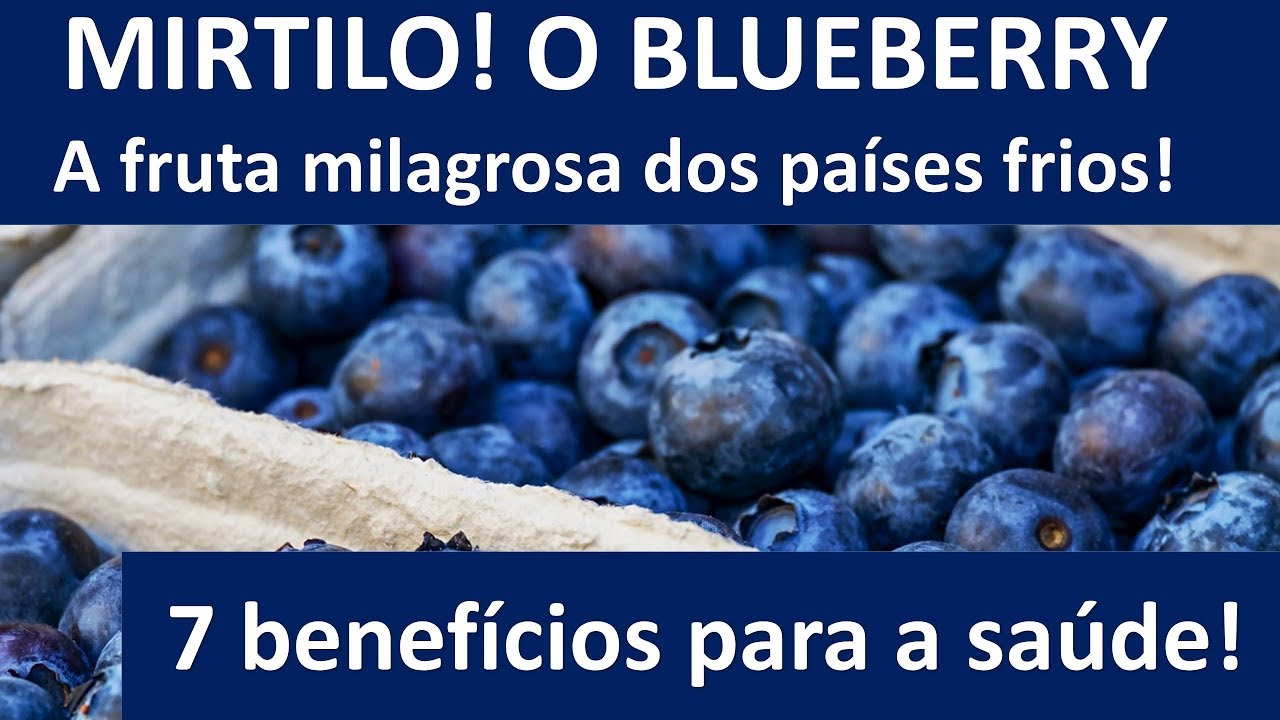 Mirtilo! O blueberry! A fruta milagrosa dos países frios! | Dr. Marco Menelau