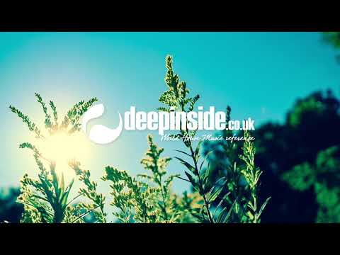 Jayclectic & Dana Weaver - Met u yet [DJ Spen mix] (Quantize Recordings) • DEEPINSIDE.co.uk